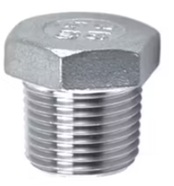 NPT Plugs